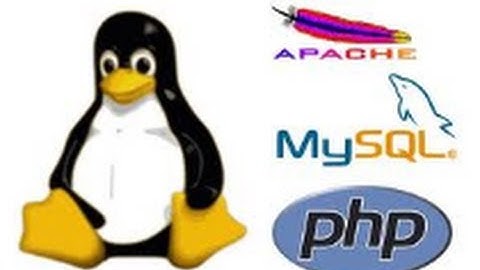 Install a simple apache Web Server on Linux Mint 14