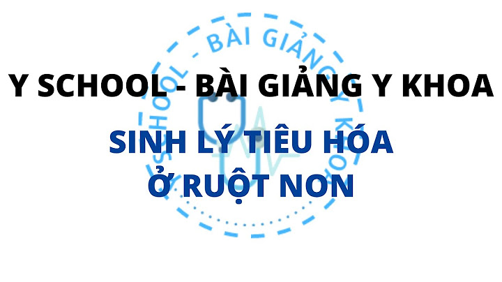 Biến đổi hóa học của thức an ở ruột non năm 2024