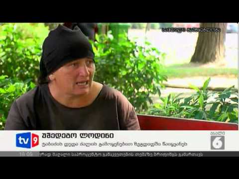 ახალი 6 | უშედეგო ლოდინი | 14.08.12