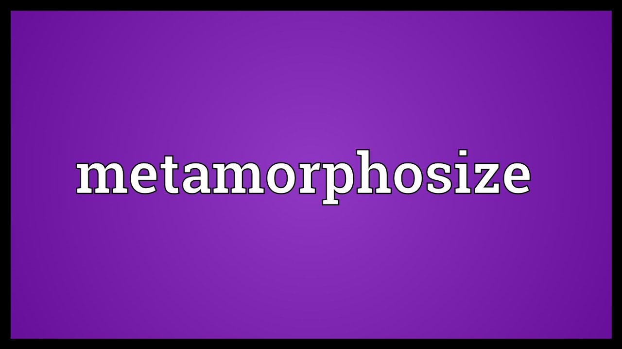 Metamorphosize Meaning - YouTube