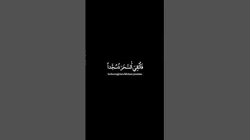 #القران_الكريم كروما شاشه سوداء🌿سورة طه🌿قلنا لا تخف إنك أنت الأعلى | 📖  Surah Ta ha 📖