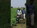 power weeder #farming #agro