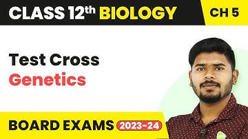 Test Cross(Genetics) - Principles of Inheritance and Variation | Class 12 Biology (2022-23)