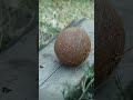 нр 19 тесты подборка