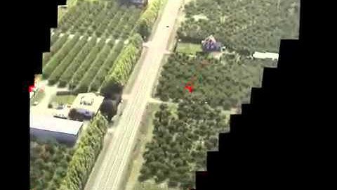 Realtime Video Mosaic