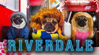 Riverdale - Doug The Pug