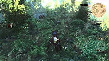 The Witcher 3: Wild Hunt - Proper Horse Mounting Form