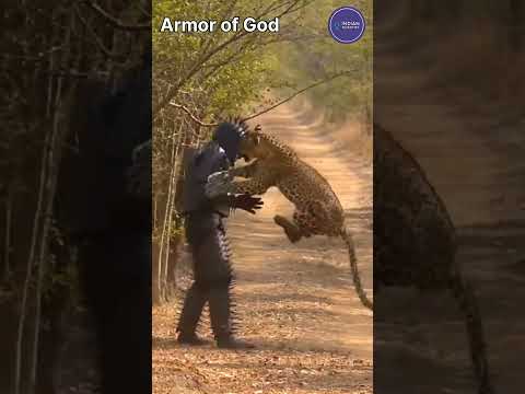 armor of god #wildlife #animals #fighting