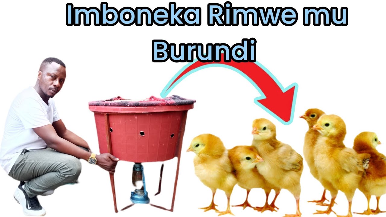 UMURUNDI AKOZE IKINTU GIKOMEYE  || IMACHINI IDASANZWE KU BOROZI B'INKOKO //  Icatumye ndayikora...
