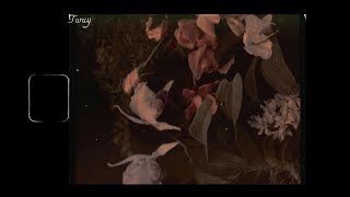 [Vietsub Lyrics] Dried Flower-Wave to earth