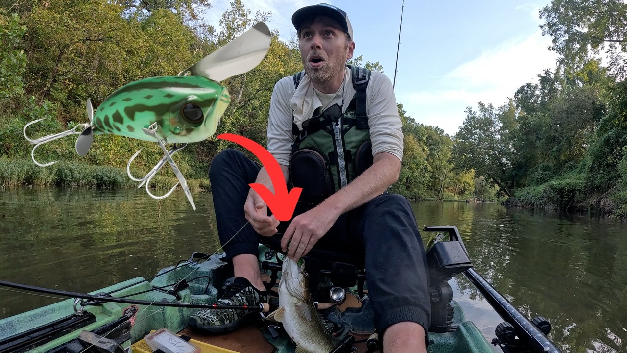 Giant Topwater for BIG River Smallmouth!