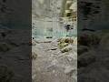 Chashma Ke Thanday Pani Se Munh Dhona | Nature's Best Refreshment