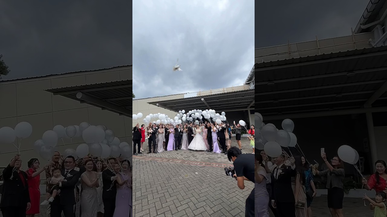 Kerja Wedding di Harris Malang 😎 