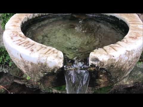 Video image