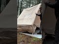 Heavy Rain Camping with My Dog Max ⛺🌧️🔥 #asmr