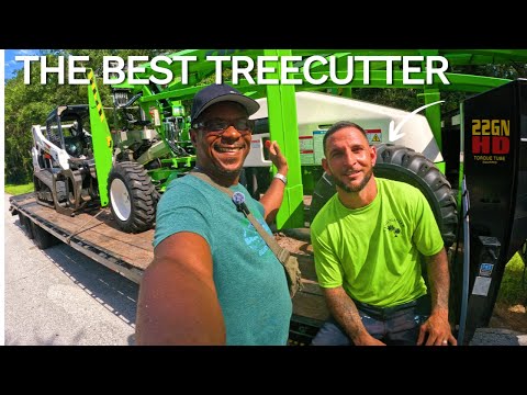 JAMAICANS FIRST TREE CUTTING EXPERIENCE IN AMERICA | EPISODE 2 #treecuttingdown