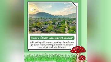 GREEN JEONNAM - DU LỊCH NƠI TRÀN NGẬP SẮC XANH (Phần 3)