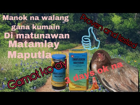 Video: Paano Kumain Ng Manok