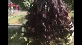 Новинка от эстель esteller/Слайсы. - YouTube