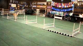 STING - 5 JUMP GRID.wmv