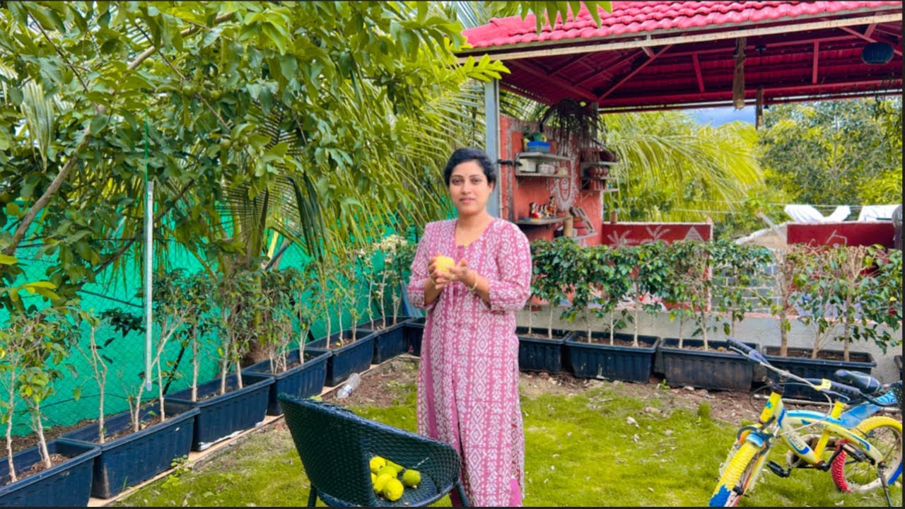 आम्ही बिगबॉस मधे जाणार का? || हॉटेलचे नाव असे का बर दिले? || पोह्यापासून बनवले खमंग वडे 