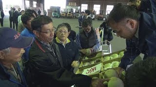 メロン出荷目ぞろえ会 茨城町メロン部会