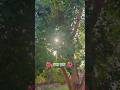 मोहे मोर बनइय्यो राधा |#viral Mohe Mor Banaiyo Radha Apne Vrindavan Ko Peaceful Radha Krishna Bhajan