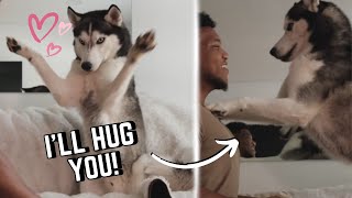 I taught my dog how to give me a hug!