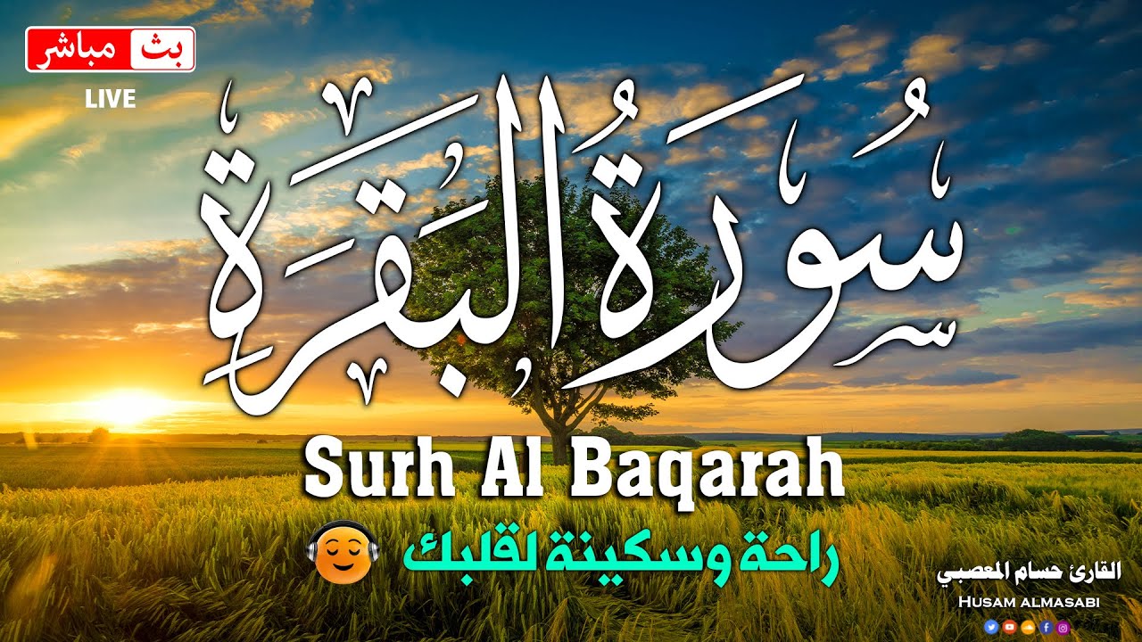 Watch سورة البقره كامله HD☀️ قرآن كريم بصوت جميل لتحصين المنزل وجلب البركه💚Quran Surat Al-Baqarah on YouTube