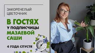 видео: В гостях у Саши Мазаевой 4 года спустя. Слёзы - самое лучшее удобрение для цветов. Растения в офисе. картинка: В гостях у Саши Мазаевой 4 года спустя. Слёзы - самое лучшее удобрение для цветов. Растения в офисе.