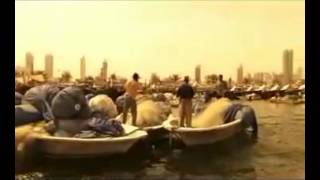 Welcome To Kuwait