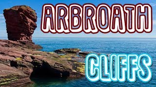 Arbroath Cliffs (Leisure) - Scottish Adventures