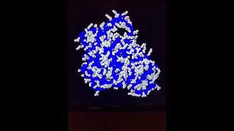 Citrate synthase protein video