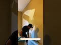 Paint Walls Like a Pro! #painting #DIY #homerenovation