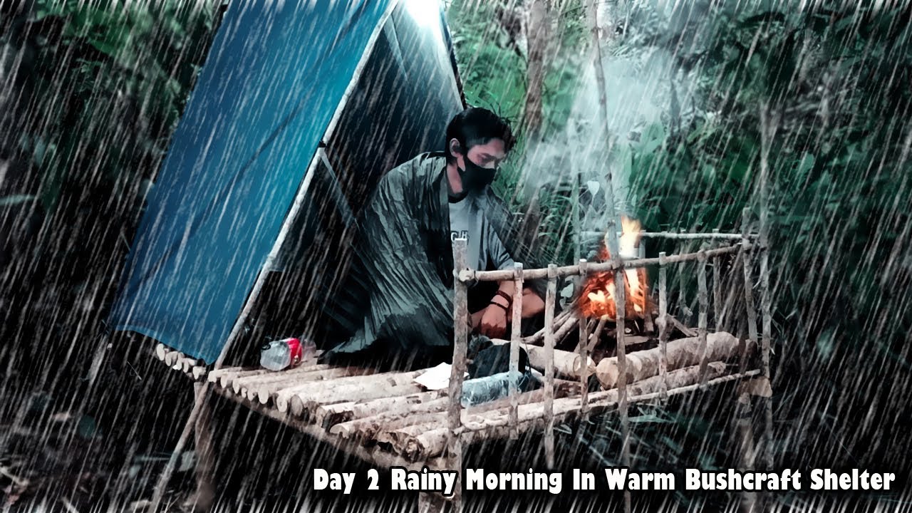 Day 2 SOLO BUSHCRAFT SURVIVAL CAMPING In The Forest HEAVY RAIN In A ...