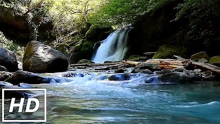 360° Forest Waterfall Meditation: Deep Relaxation for Inner Calm