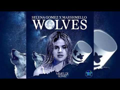 Video Selena Gomez Wolves Amas 2017