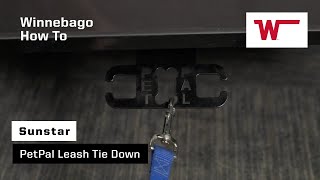 Winnebago Sunstar: How to Operate the PetPal Leash Tie Down