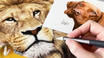 Draw Fur And Hair Easily | How To Use A Slice Tool With Colored Pencil Drawings