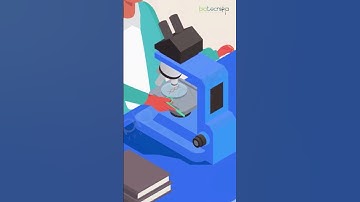 CRISPR Simplified: Unleashing the Superpower of Gene Editing