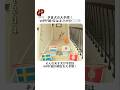 神がかった予想で話題のコーギー