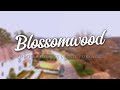 True Craft Home Builders | Huntsville, AL | Blossomwood Remodel Drywall Update