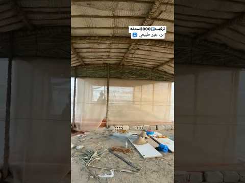 طريقة تبريد المنزل تركيب 3000 سعفة نخيل لتبريد منزل في عز الصيف و حرارة شديدة السعودية Algeria طريقة تبريد المنزل تركيب 3000 سعفة نخيل لتبريد منزل في عز الصيف و حرارة شديدة السعودية Algeria