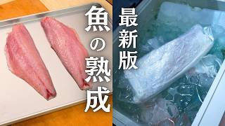 【最新版】魚の熟成方法｜なぜ魚は腐らず旨くなるのか？寿司職人が明かす“腐らせない技術”の正体