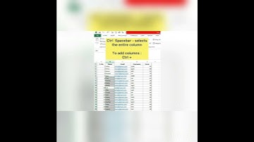 #Shorts #Youtube shorts Excel Tip 1: Add rows and columns