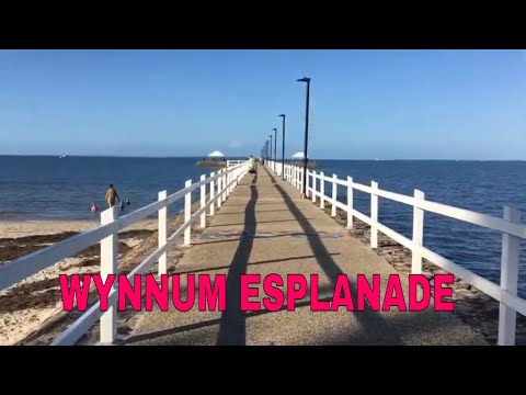 Video: Esplanade Magneet