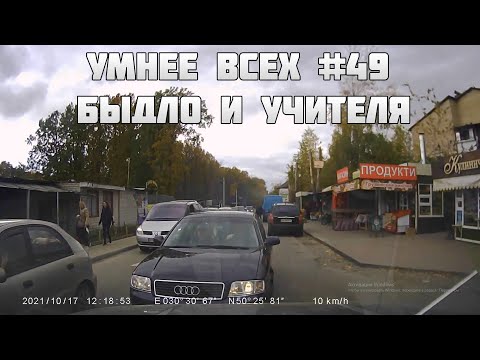 УМНЕЕ ВСЕХ #49. БЫДЛО И УЧИТЕЛЯ НА ДОРОГЕ