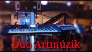 Duo Artmuzik - Nao vou mostrar o pau 2017