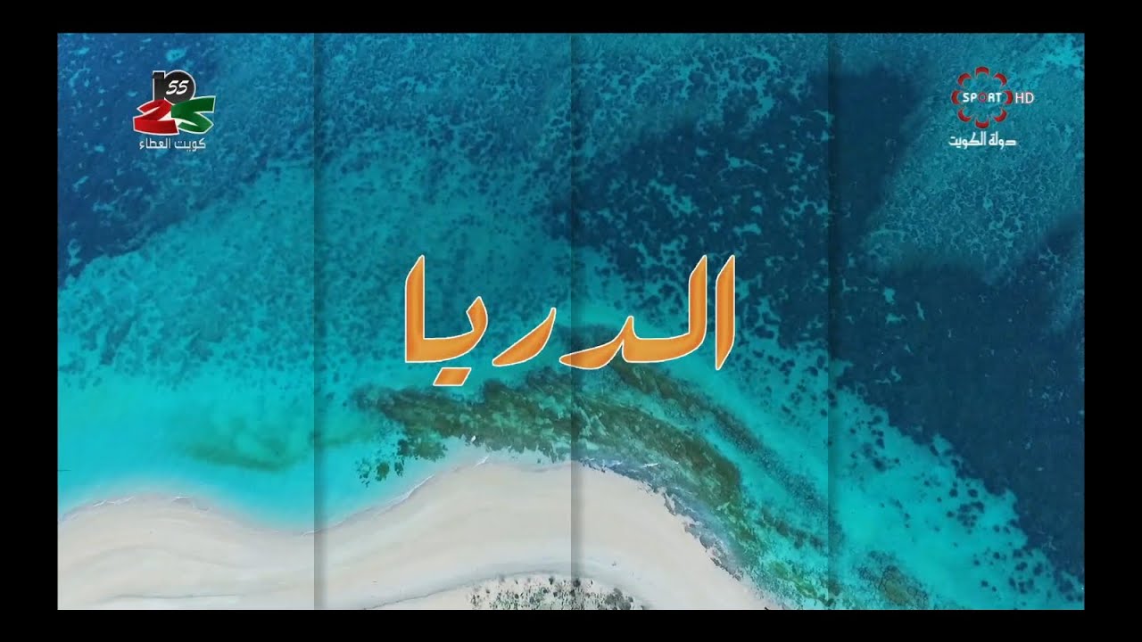 حلقة برنامج 