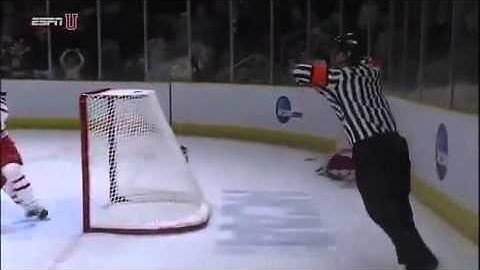 Amazing Empty Net Save